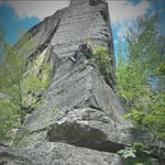 Aj Parks - @_ajparks - Instagram