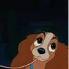 AJ Pattar - @ajpattar - TikTok