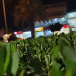 AHMED AJPEAL - @ahmed_ajpeal - Instagram