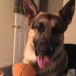 Aj Pearson - @james_pearson9689 - Instagram