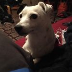 A.j/pearson - @a.jpearson - Instagram