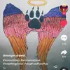 ajpearson - @ajpearson19 - TikTok
