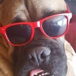 AJ Pemberton - @pembertonaj - Instagram