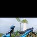 Al Ajed Pandian - Facebook