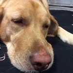 Aj Petersen - @aj_petersen30 - Instagram