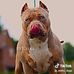 AJ Petersen - Facebook