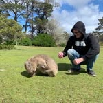 AJ Phelps - @ajphelpsmusic - Instagram