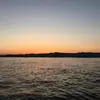 AJ_Pollock - @aj_paulhawk - TikTok