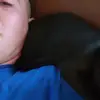 Aj Pollock - @ajpollock - TikTok