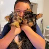 AjPonce - @tonicpaprika125 - TikTok