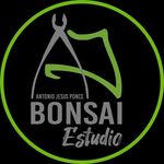 Antonio jesus Ponce Bonsai - @ajponcebonsai - Instagram