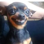 Josafá - @ajrabelo10 - Instagram