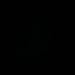 AJ Ramadan - @ar_0811 - Instagram