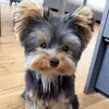AJ.Ramadan - @aj.ramadan - TikTok