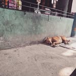 Ajrappa - @ajrappa - Instagram