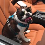 AJ Raymond - @mrbubbasnorts - Instagram