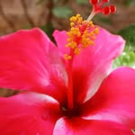 Asha Juma - @ajraymond2646 - Instagram