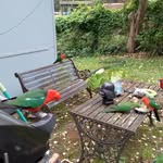 Alan Redding - @a.j.redding65 - Instagram