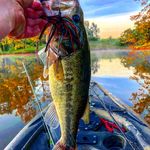 AJ Redmond - @aj.redmond.5070 - Instagram
