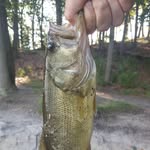 AJ Reilly - @aj_fishing_nj - Instagram