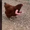 ajreilly - @ajreilly0 - TikTok