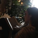 Reis - @fotos.ajreis - Instagram