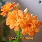Ajresh Janjotra - @ajresh_janjotra - Instagram