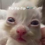AJ Reynolds - @shxrkbaithoohaha - Instagram