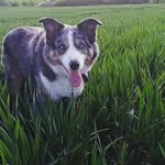 AJ Reynolds - @ajreynolds76 - Instagram