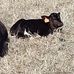 Aj Richard - Facebook