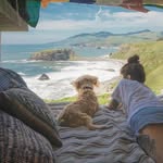 @ajries123 - Instagram
