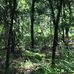 AJ Riggs Pond - Facebook