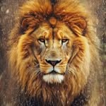 a.j. right - @a.j.right - Instagram