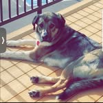 AJ - @ajritter2009 - Instagram
