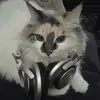 Aj Ritter - @ajritteroffical - TikTok