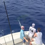 AJ Rizzo - @aj.rizzo.16 - Instagram