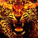 Md Aj Robin - Facebook