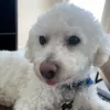 Anita Roenbeck - @ajroen64 - TikTok