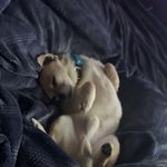 AJ Romano - @liveformygirl_loml - Instagram