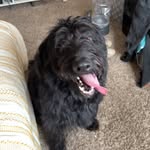 Abraham Ross - @aj.ross - Instagram