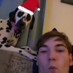 AJ Ross - @anthonyross2021 - Instagram