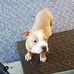 A.j. Rowell - Facebook