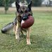AJ Rowell - Facebook
