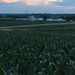 Adam Rucker - @ajruckerfarms - Instagram