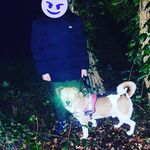 aj - @aj_sanderson__x - Instagram