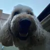 ajsauerwawrin - @ajsauerwawrin - TikTok