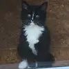 ajschaefer57 - @ajschaefer57 - TikTok