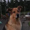 Aidan Schroeder - @aj.schroeder - TikTok