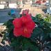 Aj Schroeder - Facebook