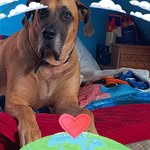 Aj Schubert - @aj_schubert15 - Instagram